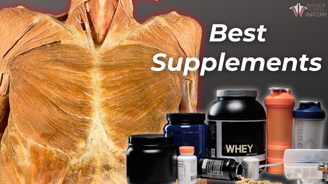 YES VIZIONCARE | What are Digital Eyes | Your Essential Supplement